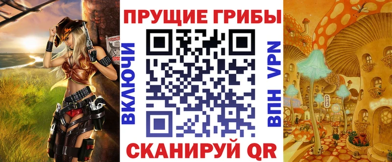 Псилоцибиновые грибы GOLDEN TEACHER  наркотики  Салехард 